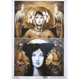 copy of 